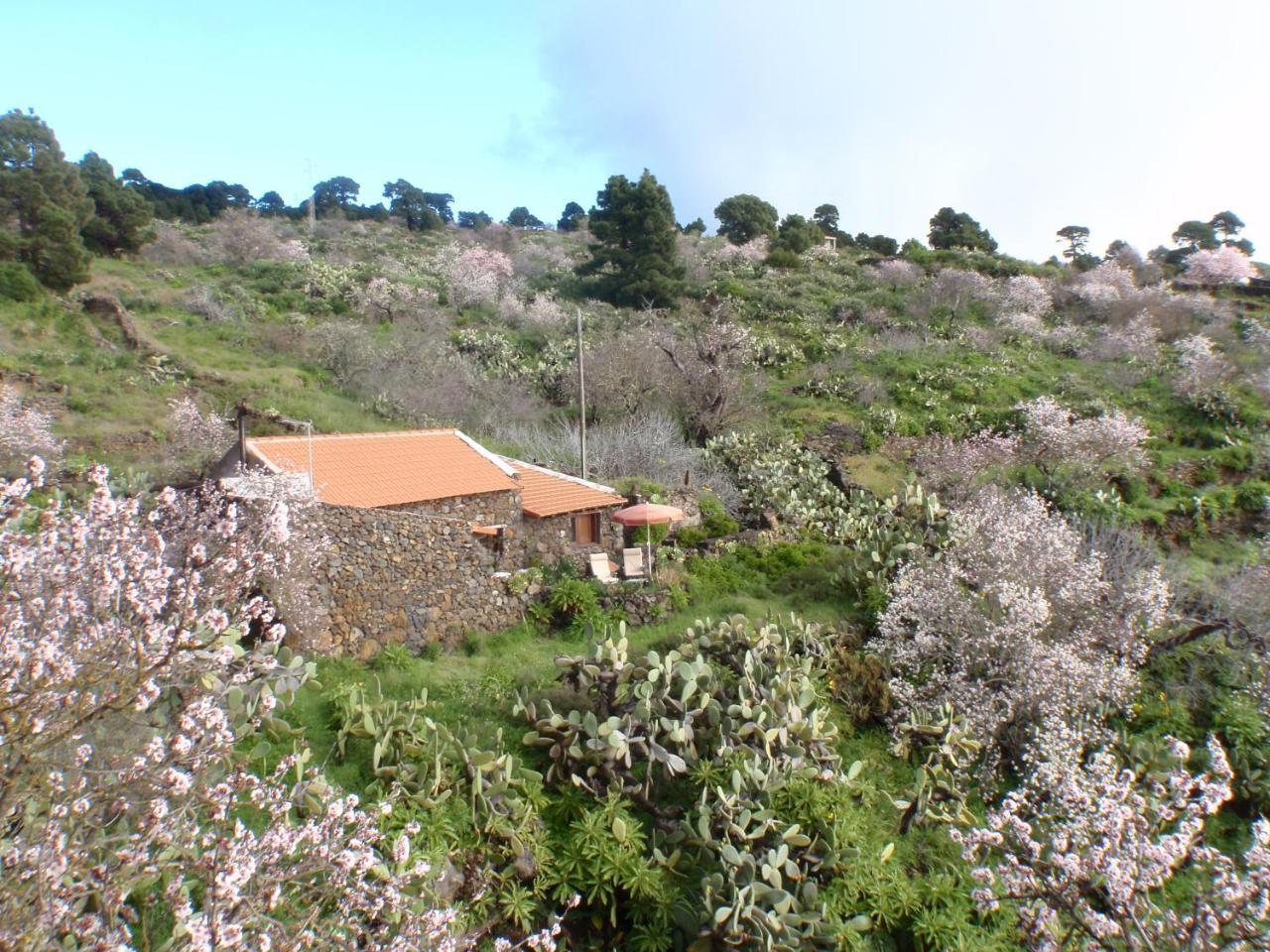 Casa Rural La Jarita Pensionat El Pinar  Eksteriør billede